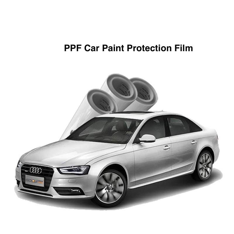 À propos du PPF TPU