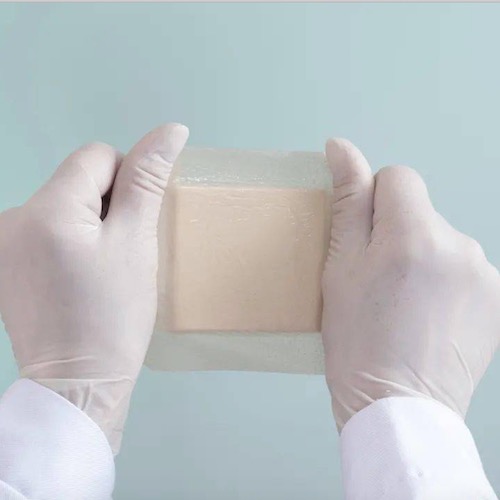 À quels types de bactéries le film TPU médical antibactérien résiste-t-il ?